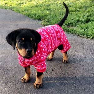 Hotel Doggy Fleece Pajamas